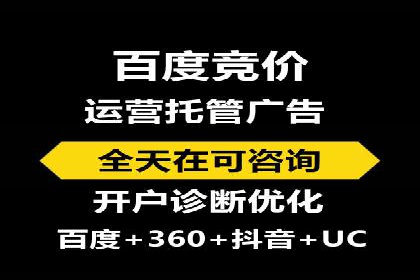 百度SEO推广：从零到一的成长案例
